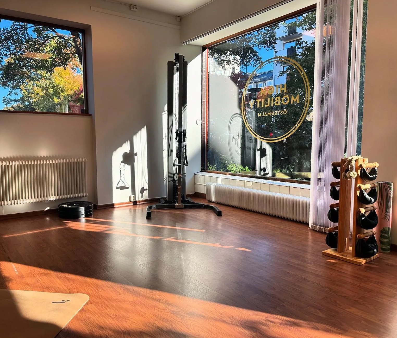 Ljus träningsstudio med kabelmaskin, viktskivor och High Mobility-loggan i fönstret